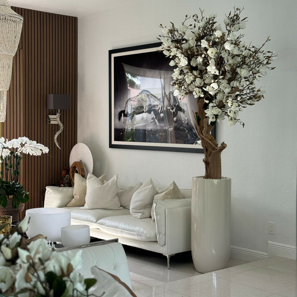 Weißer Magnolienbaum im glänzenden St. Tropez Beige Topf