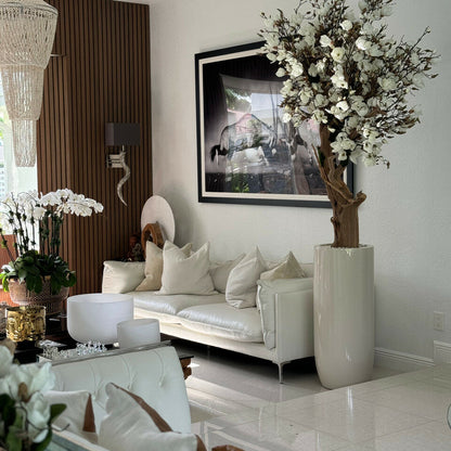 Weißer Magnolienbaum im glänzenden St. Tropez Beige Topf
