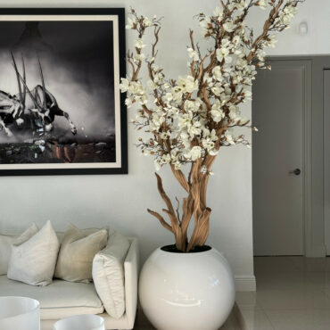 Weißer Magnolienbaum im glänzend weißen Kugeltopf, 76 cm